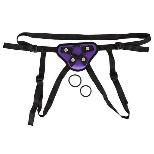 Purple And Black Universal Harness - AEX Toys