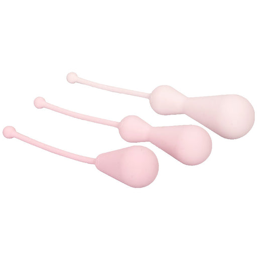 Inspire Weighted Silicone Kegel Training Kit - AEX Toys