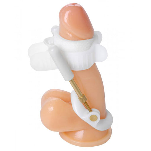 Size Matters Deluxe Penile Aid System - AEX Toys
